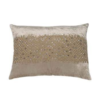 Beige Velvet with Gold Embroidery and Silver Beads